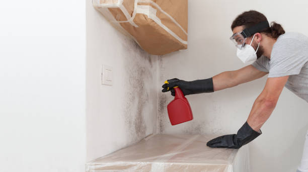 Professional Mold Testing technician working in Stanwood, MI